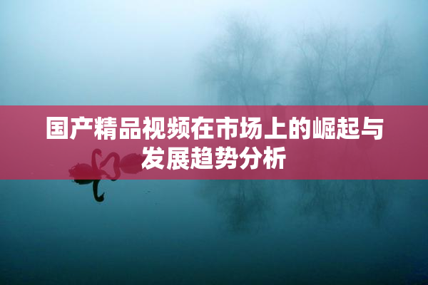 国产精品视频在市场上的崛起与发展趋势分析
