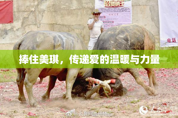 捧住美琪，传递爱的温暖与力量