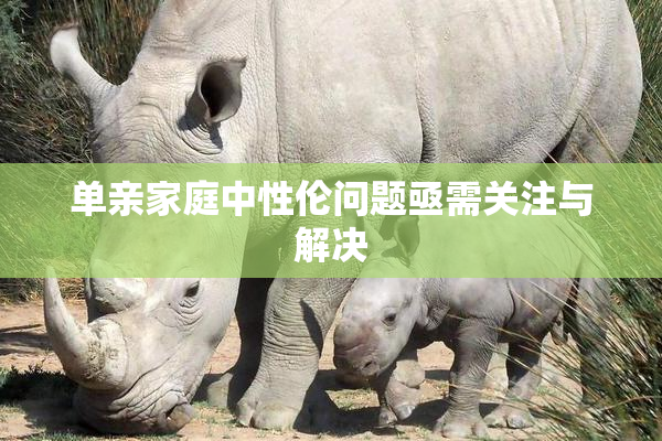 单亲家庭中性伦问题亟需关注与解决