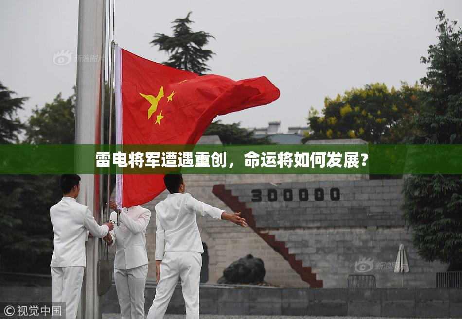 雷电将军遭遇重创，命运将如何发展？