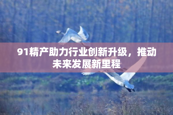 91精产助力行业创新升级，推动未来发展新里程