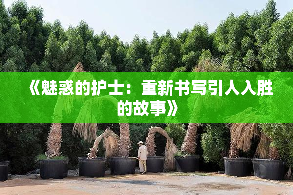 《魅惑的护士：重新书写引人入胜的故事》