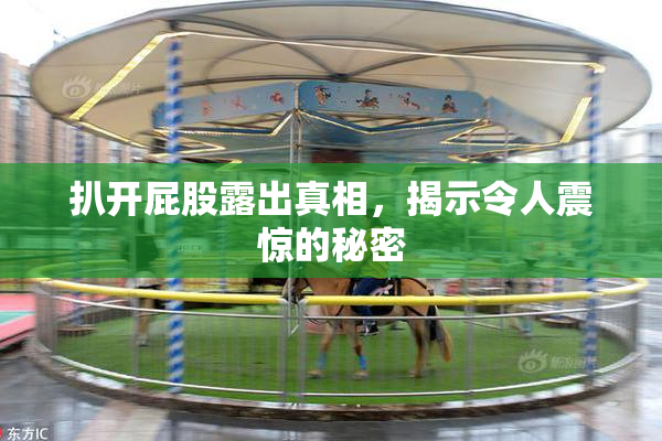 扒开屁股露出真相，揭示令人震惊的秘密