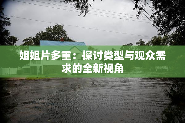 姐姐片多重：探讨类型与观众需求的全新视角