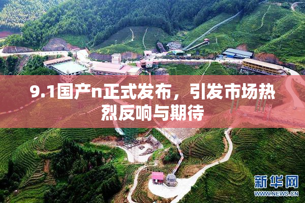 9.1国产n正式发布，引发市场热烈反响与期待