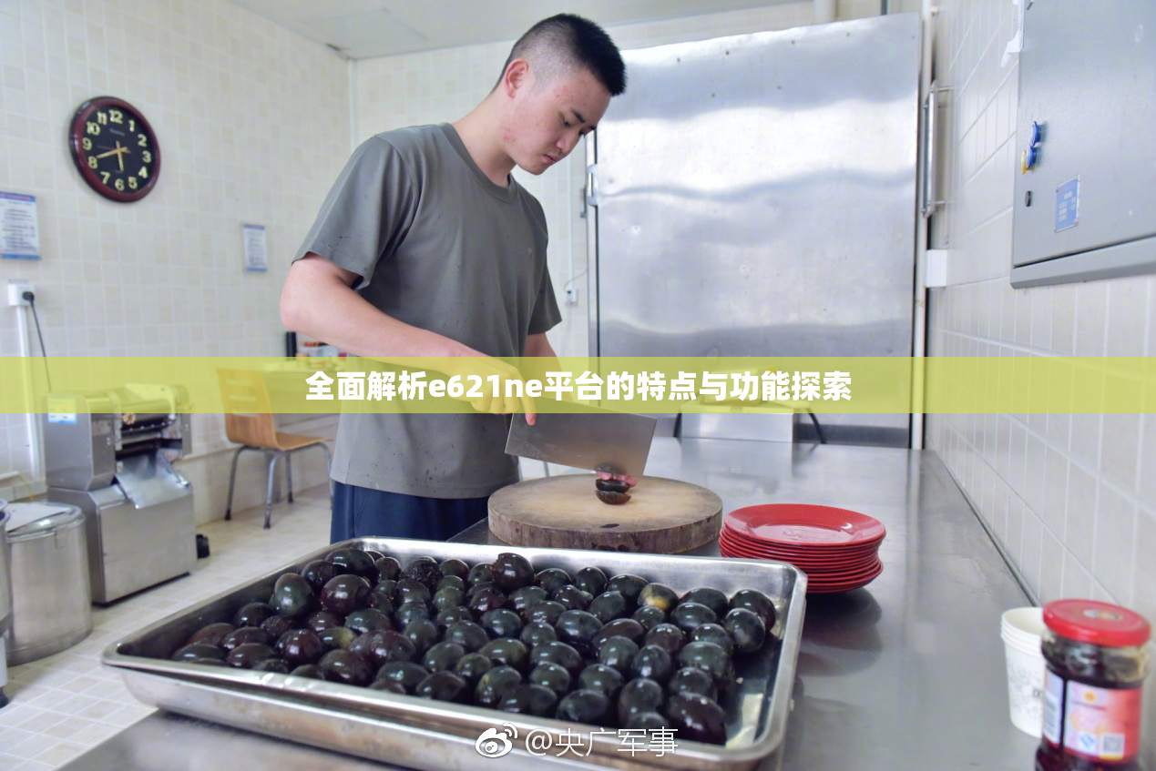 全面解析e621ne平台的特点与功能探索