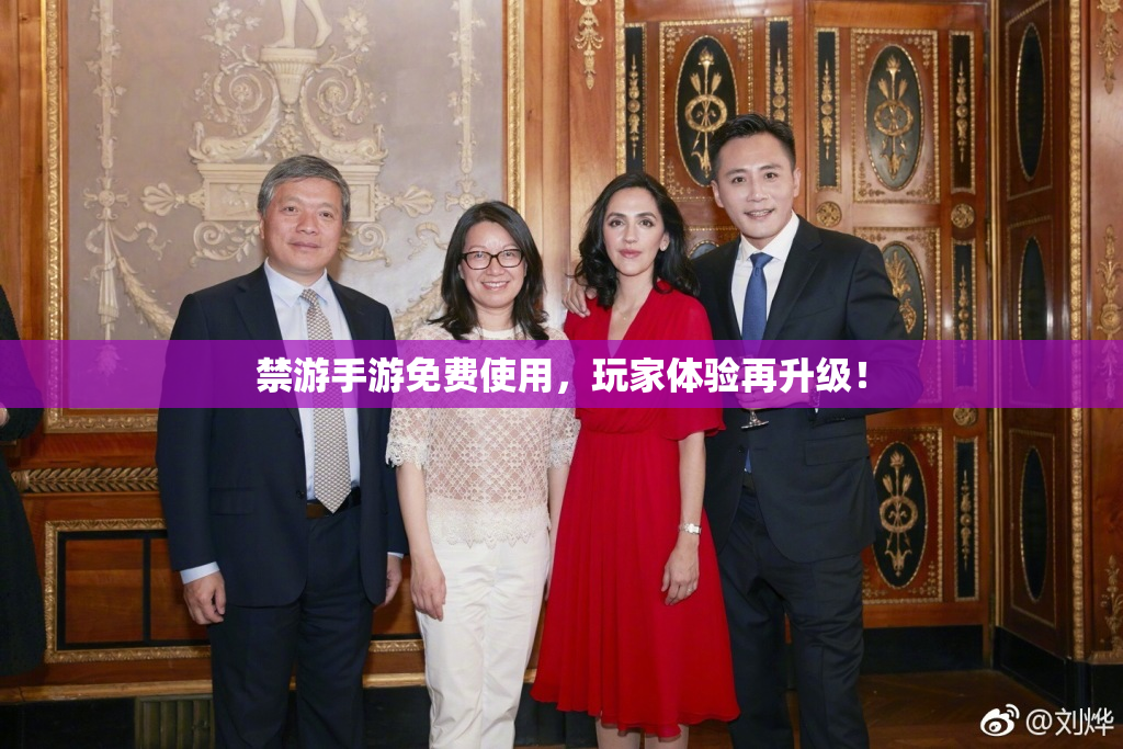 禁游手游免费使用，玩家体验再升级！