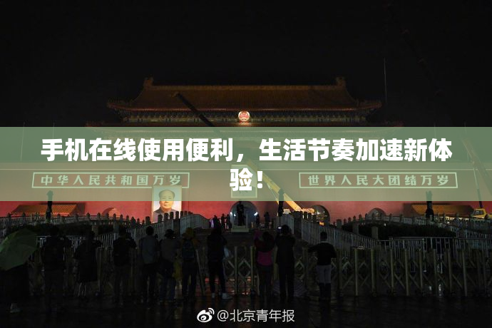 手机在线使用便利，生活节奏加速新体验！