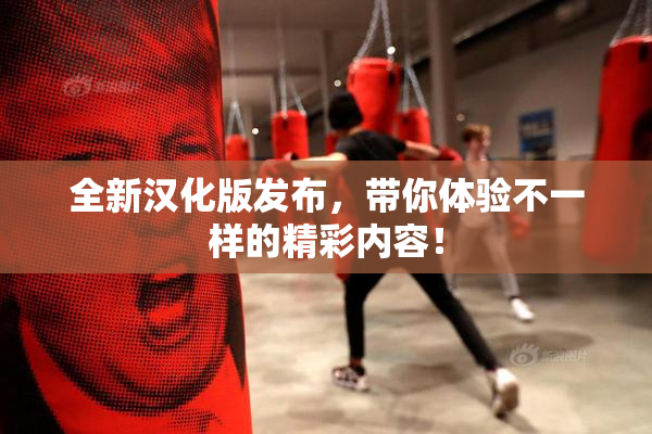 全新汉化版发布，带你体验不一样的精彩内容！