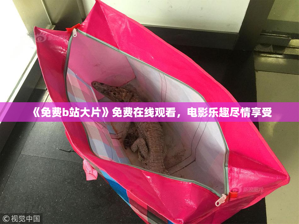 《免费b站大片》免费在线观看，电影乐趣尽情享受