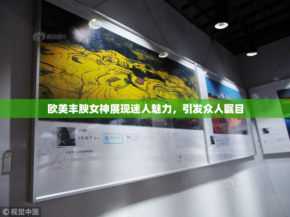 欧美丰腴女神展现迷人魅力，引发众人瞩目