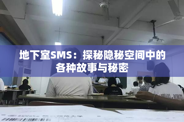 地下室SMS：探秘隐秘空间中的各种故事与秘密