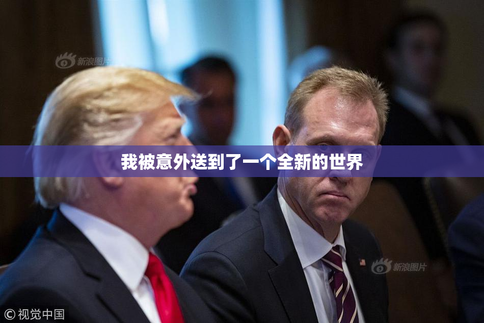 我被意外送到了一个全新的世界