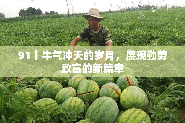 91丨牛气冲天的岁月，展现勤劳致富的新篇章