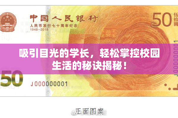吸引目光的学长，轻松掌控校园生活的秘诀揭秘！
