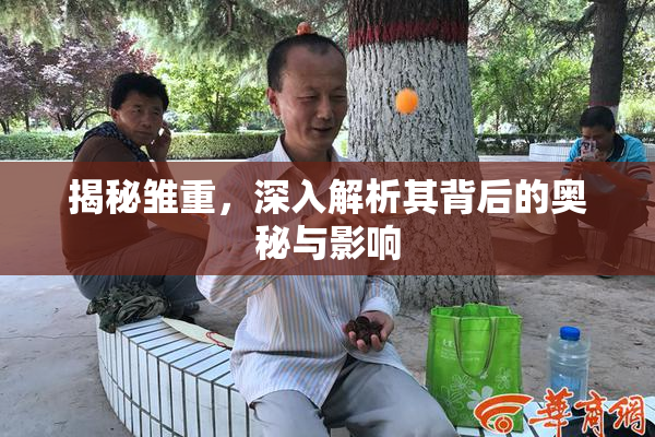 揭秘雏重，深入解析其背后的奥秘与影响