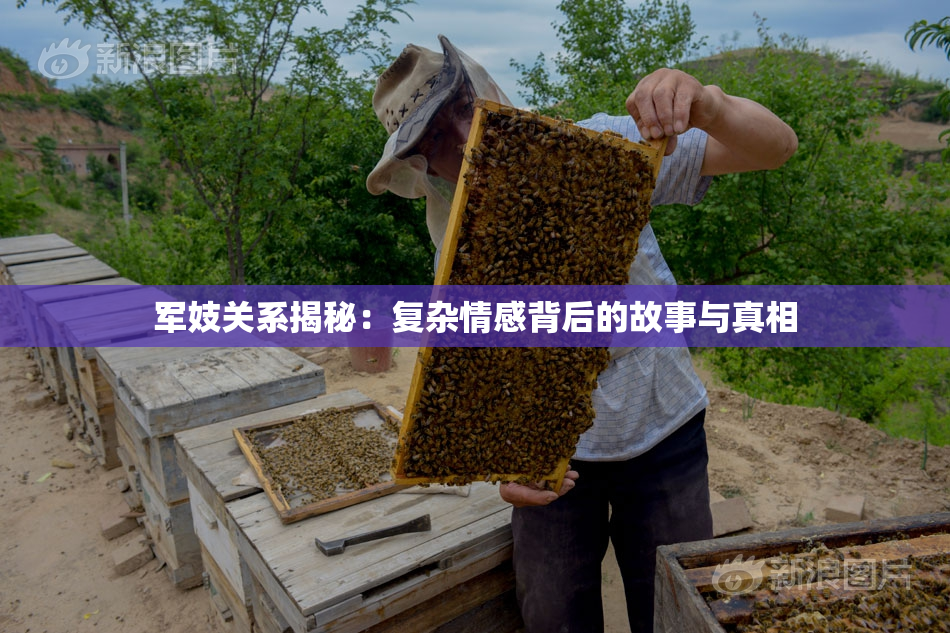 军妓关系揭秘：复杂情感背后的故事与真相