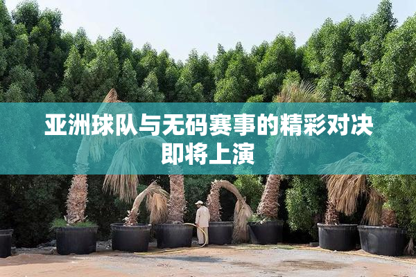 亚洲球队与无码赛事的精彩对决即将上演