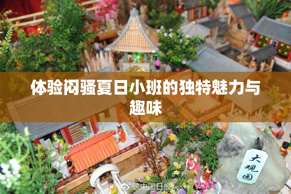 体验闷骚夏日小班的独特魅力与趣味