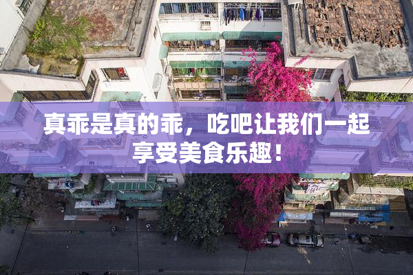 真乖是真的乖，吃吧让我们一起享受美食乐趣！