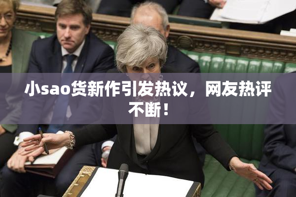 小sao货新作引发热议，网友热评不断！