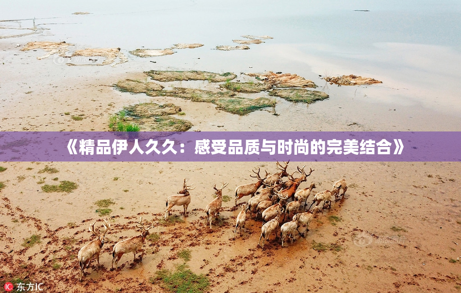 《精品伊人久久：感受品质与时尚的完美结合》