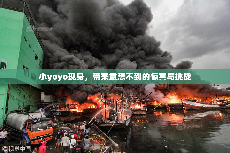 小yoyo现身，带来意想不到的惊喜与挑战
