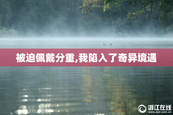 被迫佩戴分重,我陷入了奇异境遇
