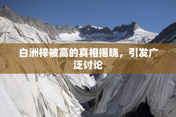 白洲梓被高的真相揭晓，引发广泛讨论
