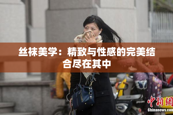丝袜美学：精致与性感的完美结合尽在其中