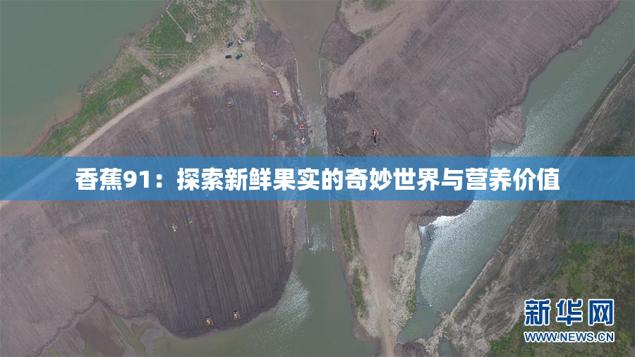 香蕉91：探索新鲜果实的奇妙世界与营养价值