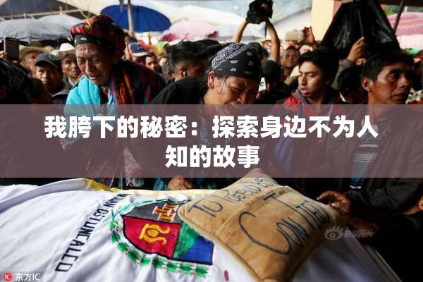 我胯下的秘密：探索身边不为人知的故事