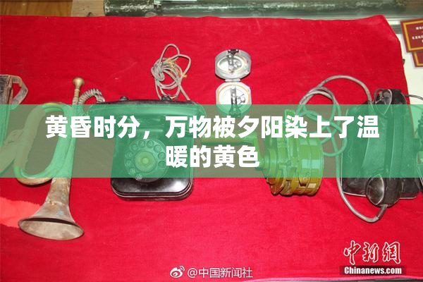 黄昏时分，万物被夕阳染上了温暖的黄色