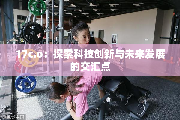 17c.o：探索科技创新与未来发展的交汇点