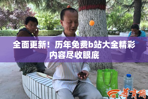 全面更新！历年免费b站大全精彩内容尽收眼底