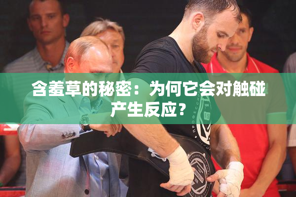 含羞草的秘密：为何它会对触碰产生反应？