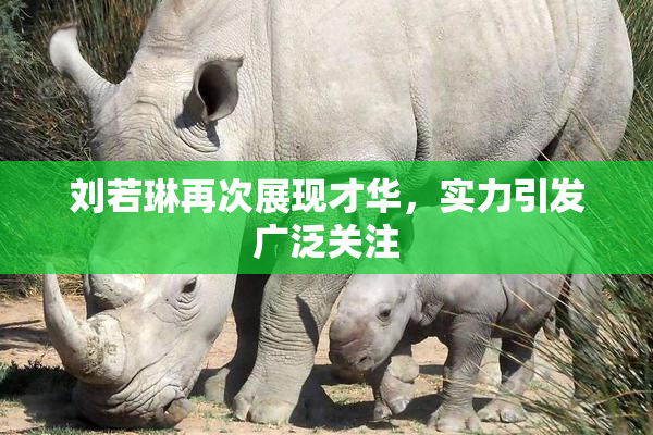 刘若琳再次展现才华，实力引发广泛关注
