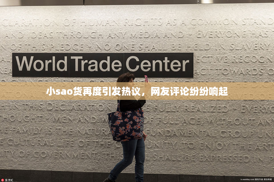 小sao货再度引发热议，网友评论纷纷响起