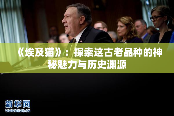 《埃及猫》：探索这古老品种的神秘魅力与历史渊源