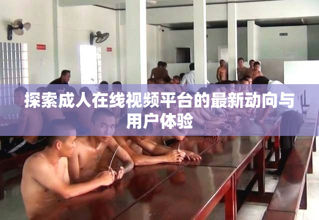 探索成人在线视频平台的最新动向与用户体验