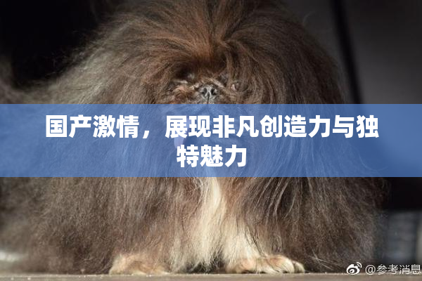 国产激情，展现非凡创造力与独特魅力