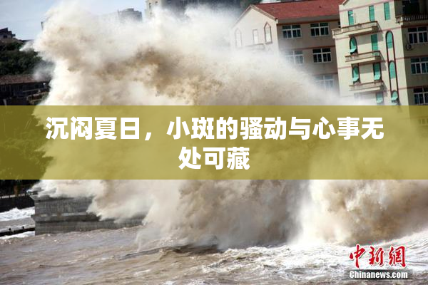沉闷夏日，小斑的骚动与心事无处可藏