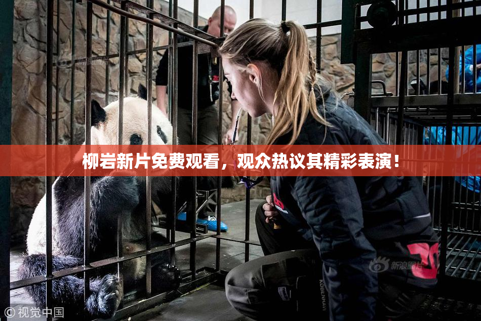 柳岩新片免费观看，观众热议其精彩表演！