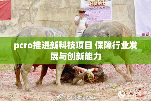 pcro推进新科技项目 保障行业发展与创新能力