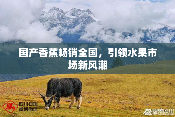 国产香蕉畅销全国，引领水果市场新风潮
