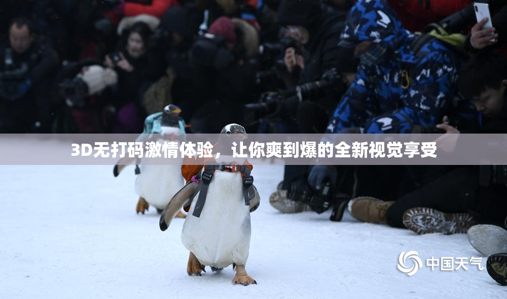 3D无打码激情体验，让你爽到爆的全新视觉享受
