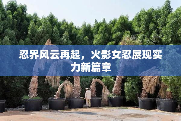 忍界风云再起，火影女忍展现实力新篇章