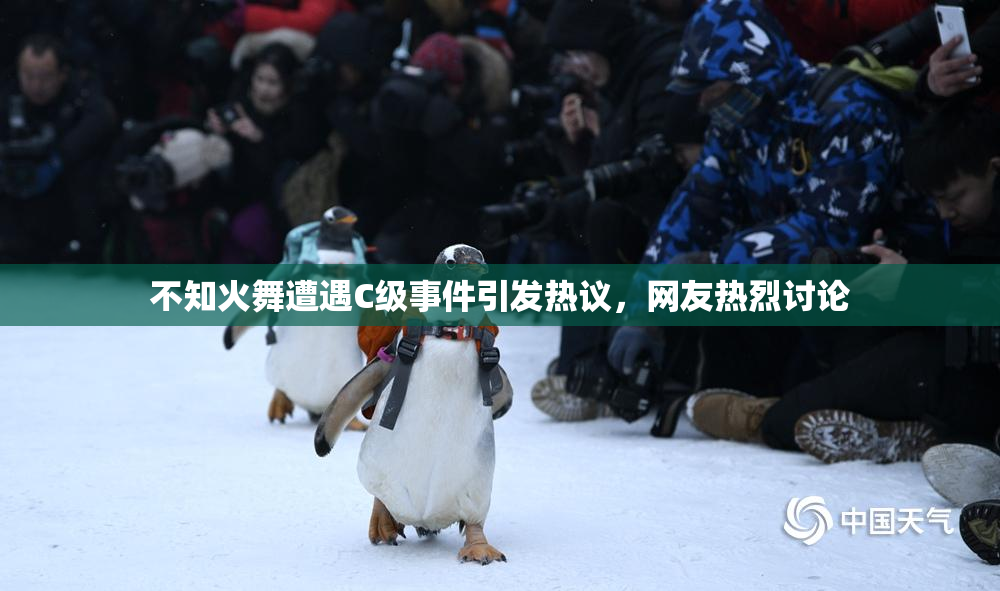 不知火舞遭遇C级事件引发热议，网友热烈讨论