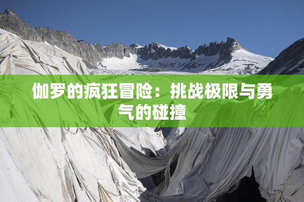 伽罗的疯狂冒险：挑战极限与勇气的碰撞
