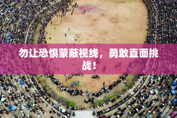 勿让恐惧蒙蔽视线，勇敢直面挑战！